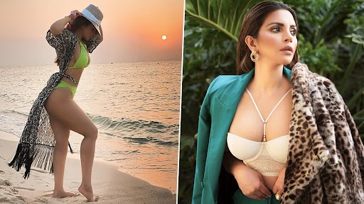 अभिनेत्री Shama Sikander ने शेअर केलेला बिकिनी मधला हॉट फोटो पहिलात का?