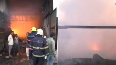Mankhurd Fire: मुंबईतील मानखूर्द येथे मंडला बाजाराच्या गोदामाला भीषण आग, अग्निशमन दलाच्या 12 गाड्या घटनास्थळी