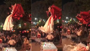Shocking! लग्नात काहीतरी हटके करण्याची हौस फिटली; नवरा-नवरी JCB मधून धपकन पडले खाली (Watch Viral Video)