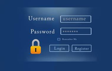 Popular Password in India: भारतातील सर्वात लोकप्रीय पासवर्ड आहे '123456', तुमचाही असेल तर लगेच बदला, नव्या संशोधना पुढे आली धक्कादाक माहिती