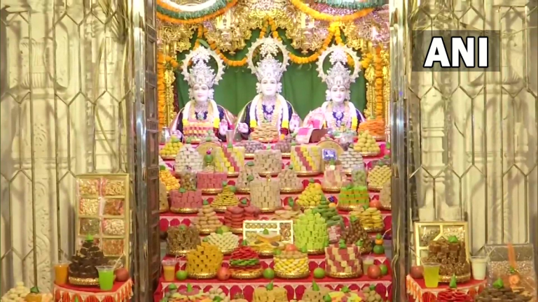 Shri Swaminarayan Mandir: अन्नकुट पूजेच्या निमित्ताने दादरमधील श्री स्वामीनारायण मंदिरात 500 विविध प्रकारचे खाद्यपदार्थांचा नैवेद्य