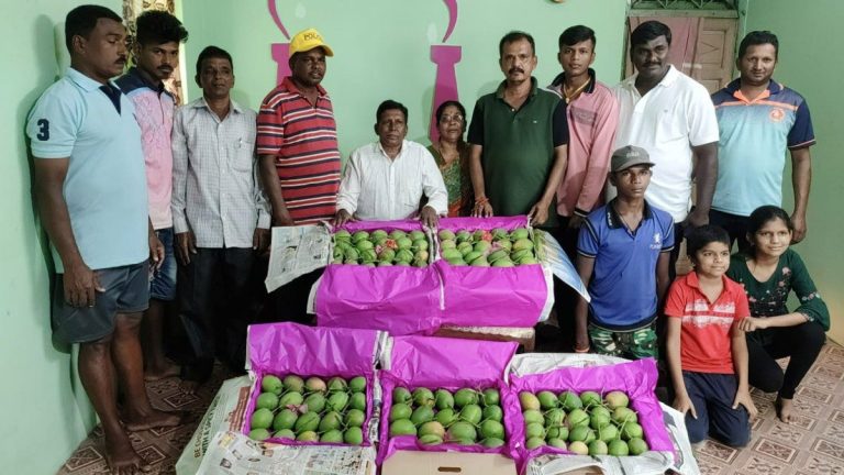 Hapus Mango: देवगड हापूसची पहिली पेटी वाशी मार्केटला रवाना