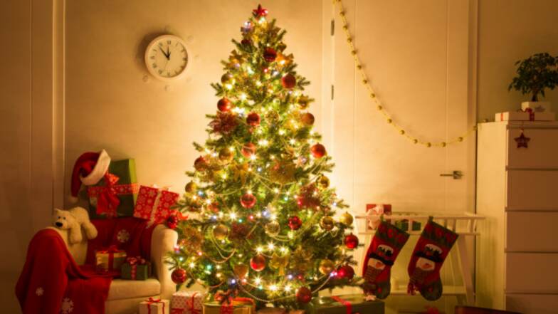 Christmas 2022 Celebration In Mumbai: यंदा मुंबईतील ख्रिसमस सेलिब्रेशन स्पेशल करा या 3 प्राचीन चर्च ना भेट देऊन!