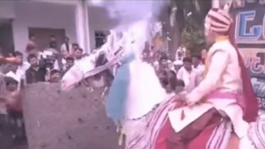 Indian Wedding Funny Moments Video: घोडा बिथरला, नवरदेवाला घेऊन पळाला; पाहा व्हिडिओ