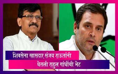 Sanjay Raut Meets Rahul Gandhi: शिवसेना खासदार संजय राऊतांनी घेतली राहुल गांधींची भेट