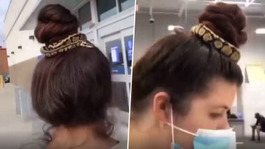 Girl Wrapped Snake In Hair: केसात बँडऐवजी जिवंत साप बांधून खरेदीला गेली मुलगी, पाहणाऱ्यांचा उडाला थरकाप! (Watch Video)