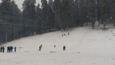 Shimla च्या Narkanda मध्ये ताजी हिमवृष्टी; पहा फोटोज