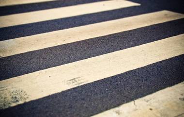 Zebra Crossing in Mumbai: मुंबईत झेब्रा क्रॉसिंग आता नव्या रंगात, प्रथमच दिसणार लाल आणि पांढऱ्या रंगांचे पट्टे