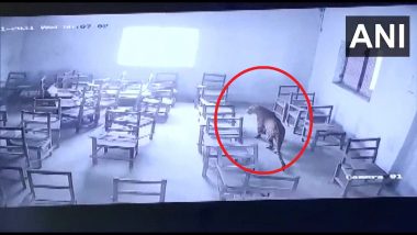 Uttar Pradesh: कॉलेजमध्ये शिरलेल्या बिबट्याचा विद्यार्थ्यावर हल्ला, घटना सीसीटीव्हीत कैद  (Watch Video)