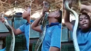 Viral Snake Video: सापासोबतची मस्ती अंगलट आली; बघता बघता तोंडात पकडले तरूणाचे केस!