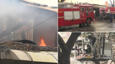 Mumbai Fire: भायखळा परिसरातील मुस्तफा बाजारजवळील लाकडाच्या गोदामाला भीषण आग, अग्निशमन दलाच्या 8 गाड्या घटनास्थळी