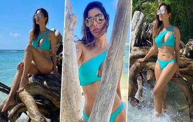 Sophie Choudry ने Blue Bikini वर सोशल मीडियावर लावली आग, हॉटनेस पाहून चाहते झाले थक्क; पाहा फोटोज