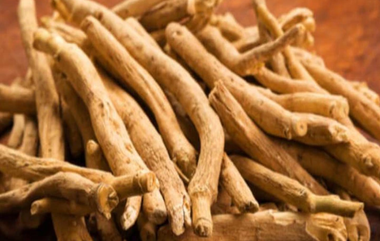 Health Benifits of Ashwagandha: अश्वगंधाचे आरोग्यासाठी कोणते फायदे होतात तुम्हाला माहितेय का? जाणून घ्या अधिक