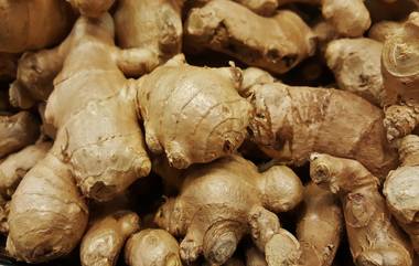 AYUSH Ministry On Ardraka Paka: आयुष मंत्रालयाने दिला आलेपाक खाण्याचा सल्ला,  Ginger बर्फी खाण्याचे फायदे घ्या जाणून