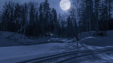 Saw Moon in Your Dreams? स्वप्नात चंद्र दिसण्याचा अर्थ काय, जाणून घ्या
