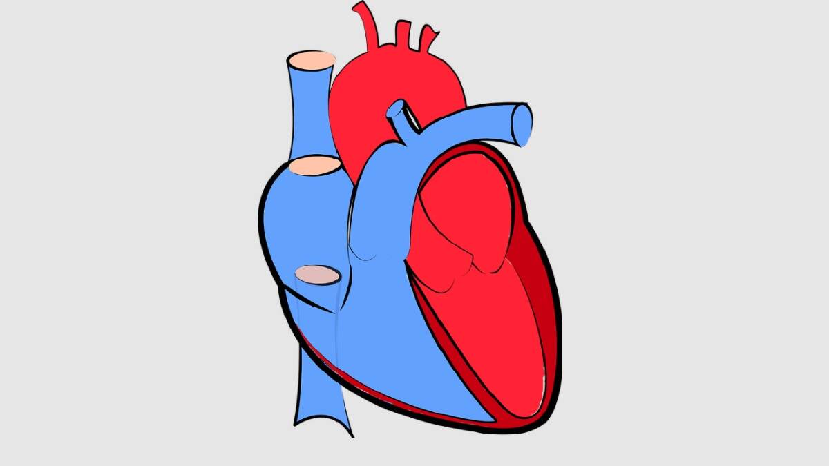 Green Corridor For Heart:  दिल्ली विमानतळावरुन जिवंत हृदय केवळ 11 मिनीटांत पोहोचले एम्स रुग्णालयात, वाहतूक पोलिसांनी पुरवला ग्रीन कॉरिडोर