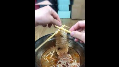 Noodles Knitting: नूडल्स विणकाम, कला तर पाहा, व्हाल अवाक (Video)