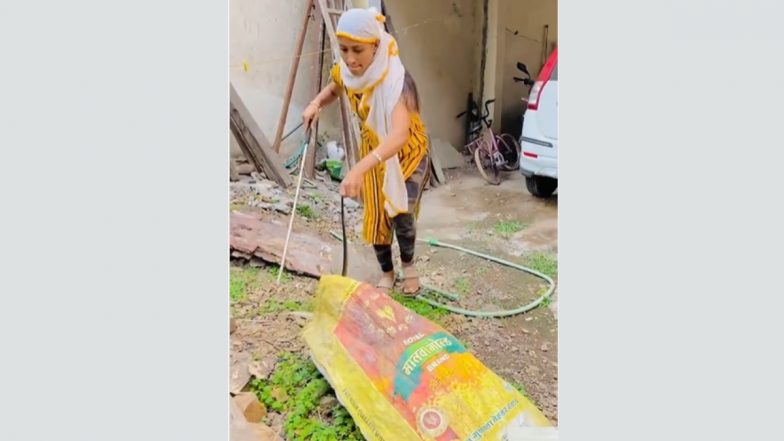Viral Video: सर्पमित्र महिलेचा साप पकडतानाचा व्हिडिओ सोशल मीडियावर व्हायरल