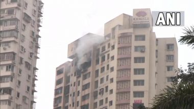 Mumbai Fire: मुंबईत ताडदेव परिसरात भाटिया हॉस्पिटल जवळील 20 मजली Kamala इमारतीमध्ये आग