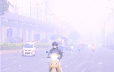 मुंबईच्या काही भागात धुक्याची दाट चादर; पहा आज सकाळची Western Express Highway वरील दृश्य