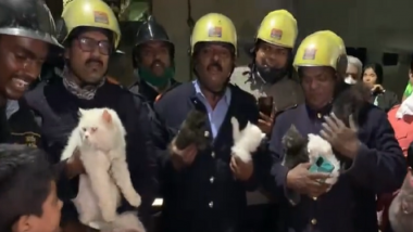 Fire: आग लागलेल्या तीन मजली इमारतीतून दहा पर्शियन मांजरींची सुटका, पुणे अग्निशमन विभागाची कामगिरी