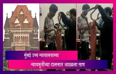 Bombay High Court चे Judge एन.आर.बोरकर यांच्या दालनात आढळला साप