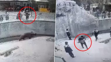 Shocking: माता न तू, वैरिणी! पोटच्या 3 वर्षांच्या मुलीला अस्वलासमोर फेकून निघून गेली आई; कॅमेऱ्यात कैद झाली घटना (Watch Video)