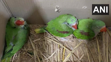 Maharashtra: तस्करी करुन आणलेल्या पोपट, रेडियस स्लाइडर कासवांसह 60 प्राणी पाळीव प्राण्यांच्या दुकानातून जप्त