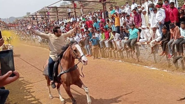 Amol Kolhe यांनी  लोकसभा निवडणूक प्रचारादरम्यान दिलेला शब्द पाळला; घोडेस्वारी करत बैलजोडीसमोर बारी