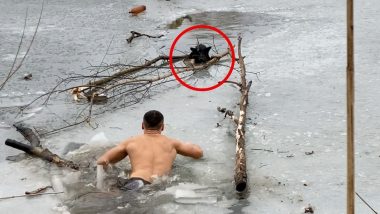 Viral Video: बर्फाळ नदीत अडकलेल्या कुत्र्याचा जीव वाचवणाऱ्या व्यक्तीने जिंकली यूजर्सची मने; पहा व्हायरल व्हिडिओ