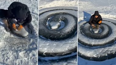 Viral Video: बर्फातून तयार केला विशाल अॅनाकोंडा, व्हिडिओ पाहून साप खरा की खोटा यावर विश्वास बसणार नाही