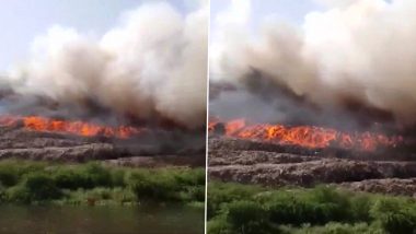Ghazipur Fire: गाझीपूर येथील डंपिंग यार्डला आग, अग्निशमन दलाच्या 6 गाड्या घटनास्थळी दाखल