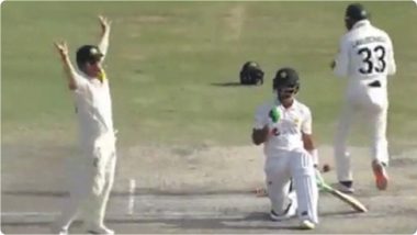 PAK vs AUS 3rd Test: भारीच! David Warner याचे मजेदार सेलिब्रेशन, हसन अली याची विकेट पाकिस्तानी गोलंदाजाच्या शैलीत साजरी केली (Watch Video)