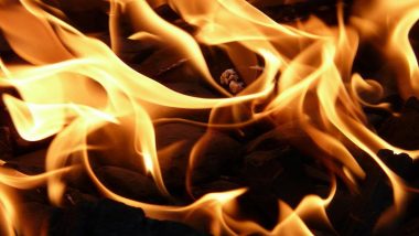 The Burning Car: दादर परिसरात भरधाव कारला आग, सुदैवाने कोणतीही जीवीतहानी नाही
