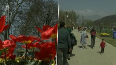 Asia खंडातील सर्वात मोठं Tulip Garden यंदाच्या सीझनसाठी आजपासून श्रीनगर मध्ये पर्यटकांसाठी खुलं!