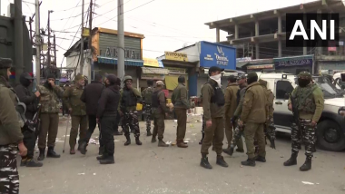 Grenade Attack In Srinagar: श्रीनगरमध्ये बाजारपेठेच्या मध्यभागी दहशतवाद्यांनी फेकला ग्रेनेड, एकाचा मृत्यू तर 20 जण जखमी