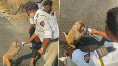 Maharashtra Traffic Police ने अंगाची काहिली करणार्‍या उष्णतेच्या दिवसांत चक्क माकडालाही पाजलं पाणी; सोशल मीडीयात  वायरल होतोय हृदयस्पर्शी व्हिडिओ (Watch Video)