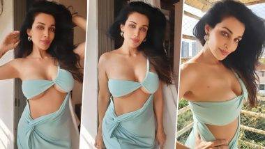 Flora Saini ने पोस्ट केले Hot Photos, परफेक्ट फिगर पाहून चाहते थक्क, फोटो झाले व्हायरल