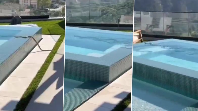 सापाने भरधाव वेगात पार केला Swimming Pool; व्हिडिओ पाहून तुम्हालाही वाटेल आश्चर्य; Watch Video