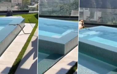 सापाने भरधाव वेगात पार केला Swimming Pool; व्हिडिओ पाहून तुम्हालाही वाटेल आश्चर्य; Watch Video