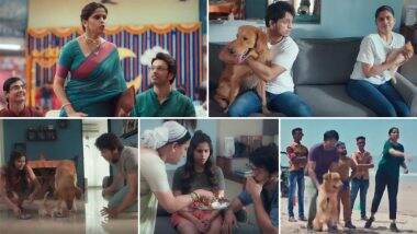 Pet Puraan Trailer: 'पेट पुराण' चा धमाकेदार ट्रेलर रिलीज, सई आणि ललित मुख्य भूमिकेत