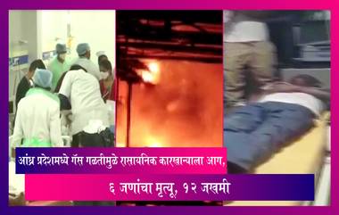 Andhra Pradesh मध्ये गॅस गळतीमुळे रासायनिक कारखान्याला आग, 6 जणांचा मृत्यू, 12 जखमी