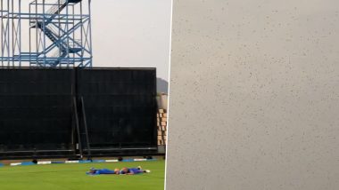 IPL 2022: मुंबई इंडियन्सच्या सरावात ‘नकोशा पाहुण्यांची’ घुसखोरी, प्रशिक्षकासह खेळाडूंनीही मैदानात घातले लोटांगण (Watch Video)