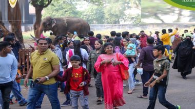 Mumbai Zoo: कोविड निर्बंध हटवल्यावर नागरिकांचा प्राणीसंग्रहालयाला मोठा प्रतिसाद
