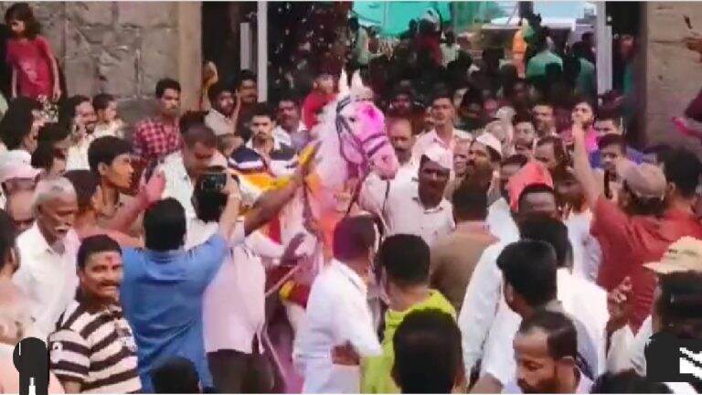 Horse of Deccan King Jotiba: दख्खनचा राजा श्री जोतीबा चरणी नवा मानाचा अश्व दाखल