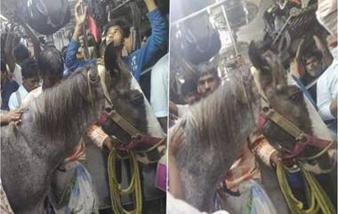 Horse Travelling in a Local Train: रेल्वेत प्रवाशांसोबत घोड्यानेही केला प्रवास; फोटो व्हायरल झाल्यानंतर रेल्वेने दिले  चौकशीचे आदेश