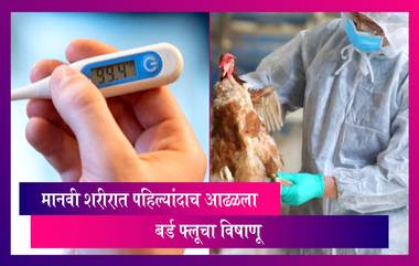 Bird Flu: मानवी शरीरात पहिल्यांदाच आढळला बर्ड फ्लूचा विषाणू, चीनमध्ये सापडला पहिला रुग्ण