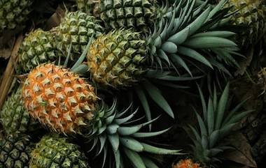 Benefits of Eating Pineapple: अननसमध्ये असतात औषधी गुणधर्म, पाहा फायदे