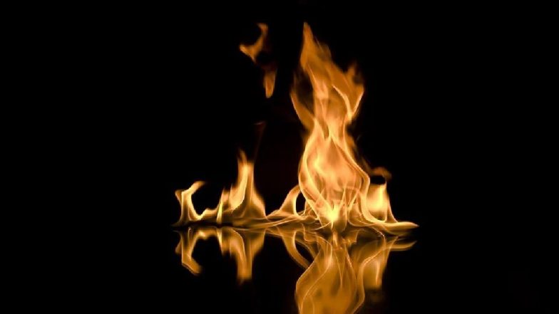 Lote MIDC Fire: रत्नागिरीच्या लोटे एमआयडीसी मध्ये आग; 6-7 कामगार होरपळले