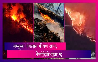 Forest Fire: जम्मूच्या जंगलात भीषण आग, वैष्णोदेवी तीर्थयात्रा रद्द